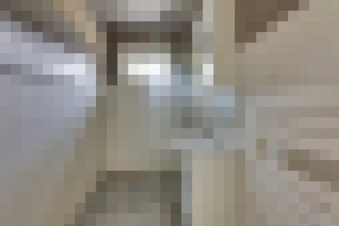 Roelof van Schevenstraat 221 Enschede thumbnail 15