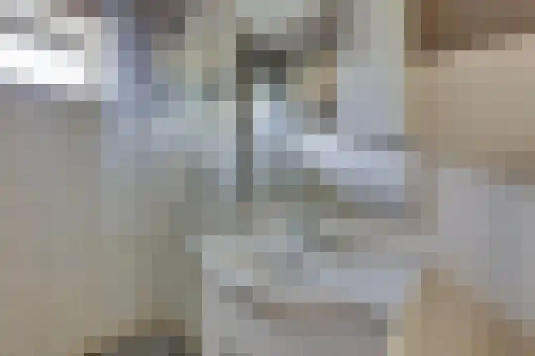 Roelof van Schevenstraat 221 Enschede thumbnail 16