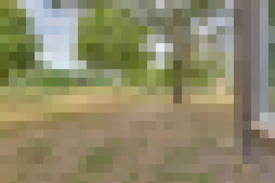 Roelof van Schevenstraat 221 Enschede thumbnail 28