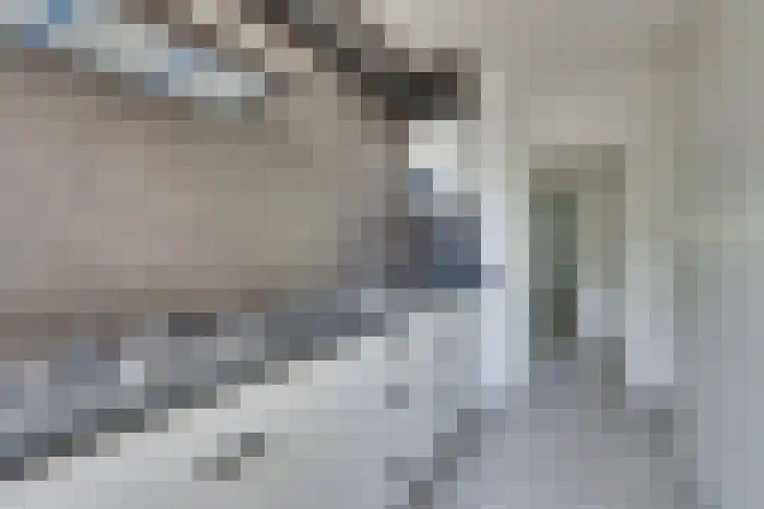 Roelof van Schevenstraat 221 Enschede thumbnail 5