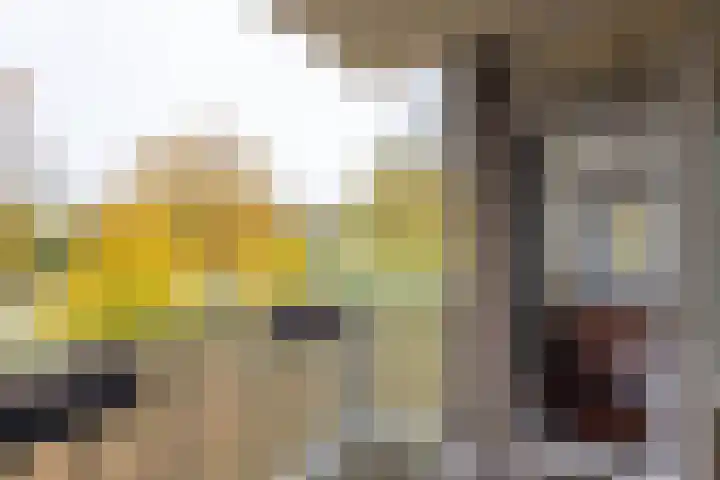 Roelof van Schevenstraat 225 Enschede thumbnail 18
