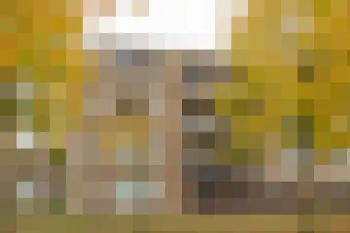 Roelof van Schevenstraat 225 Enschede thumbnail 20