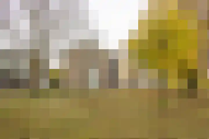 Roelof van Schevenstraat 225 Enschede thumbnail 21