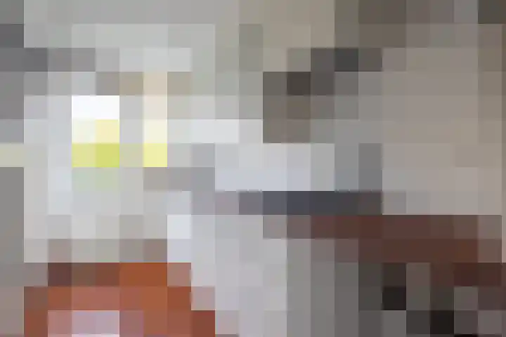 Roelof van Schevenstraat 225 Enschede thumbnail 9