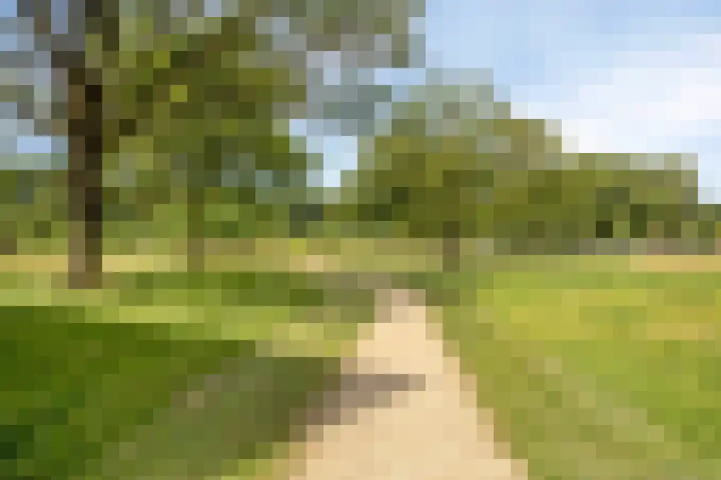 Roelof van Schevenstraat 227 Enschede thumbnail 26