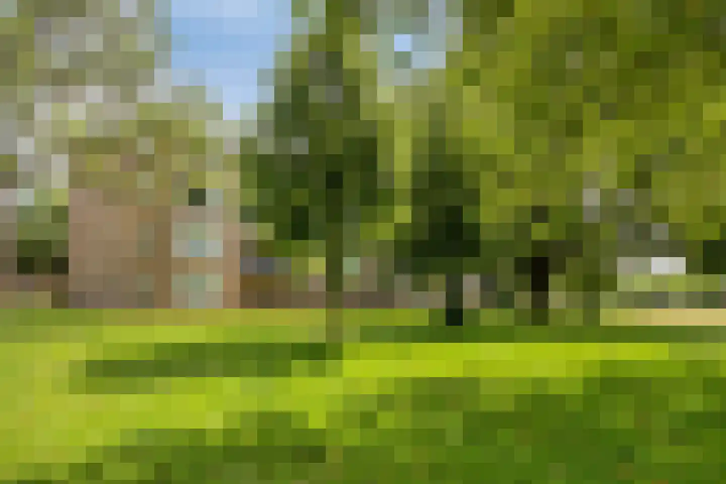 Roelof van Schevenstraat 227 Enschede thumbnail 28