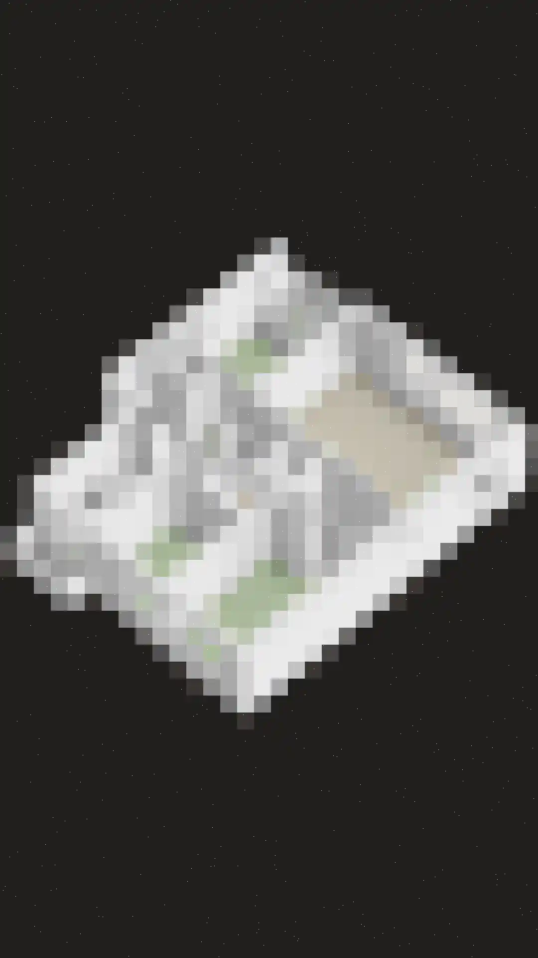 Roelof van Schevenstraat 227 Enschede thumbnail 32