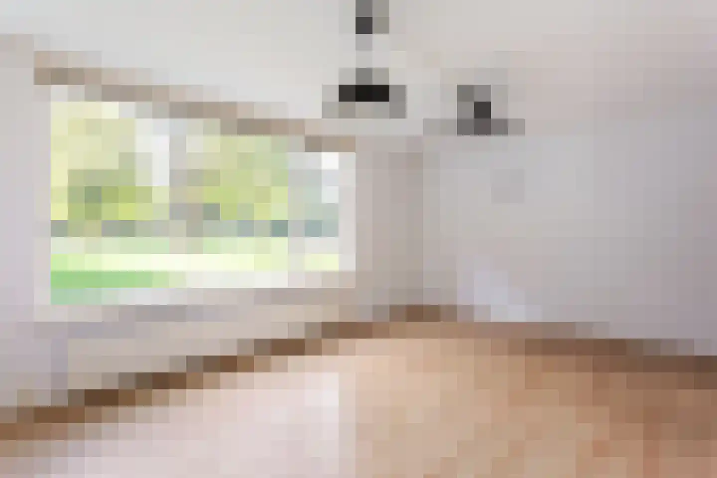 Roelof van Schevenstraat 229 Enschede thumbnail 13