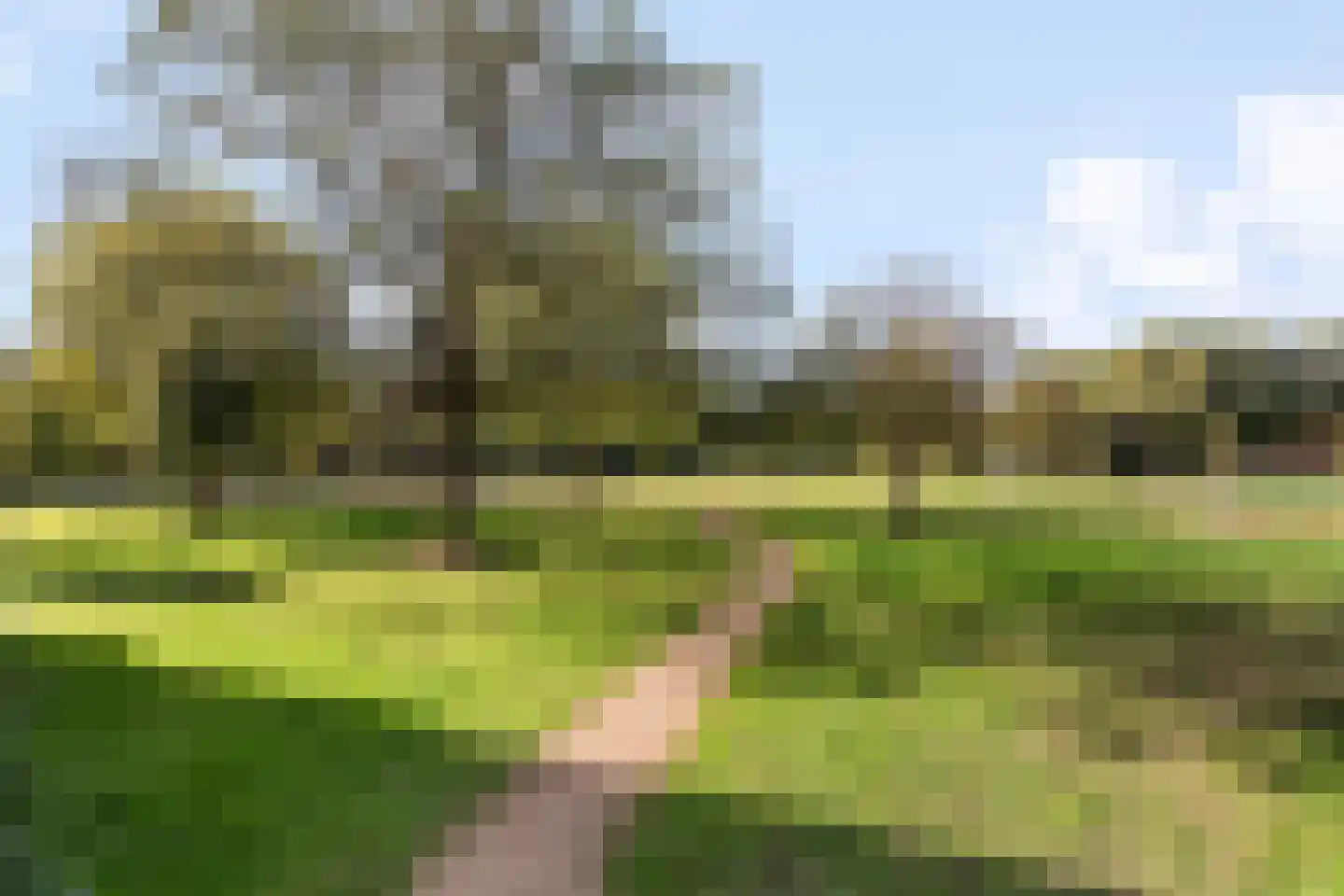 Roelof van Schevenstraat 229 Enschede thumbnail 22