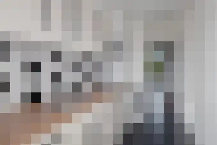 Roelof van Schevenstraat 255 Enschede thumbnail 16