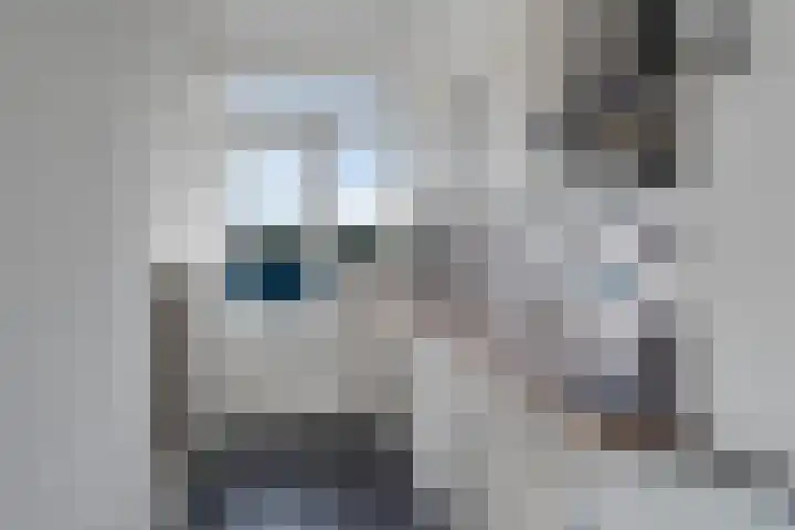 Roelof van Schevenstraat 255 Enschede thumbnail 4