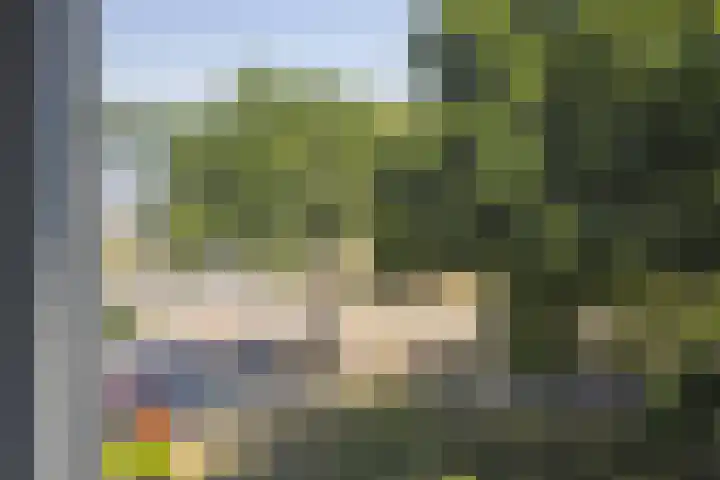 Roelof van Schevenstraat 31 Enschede thumbnail 20