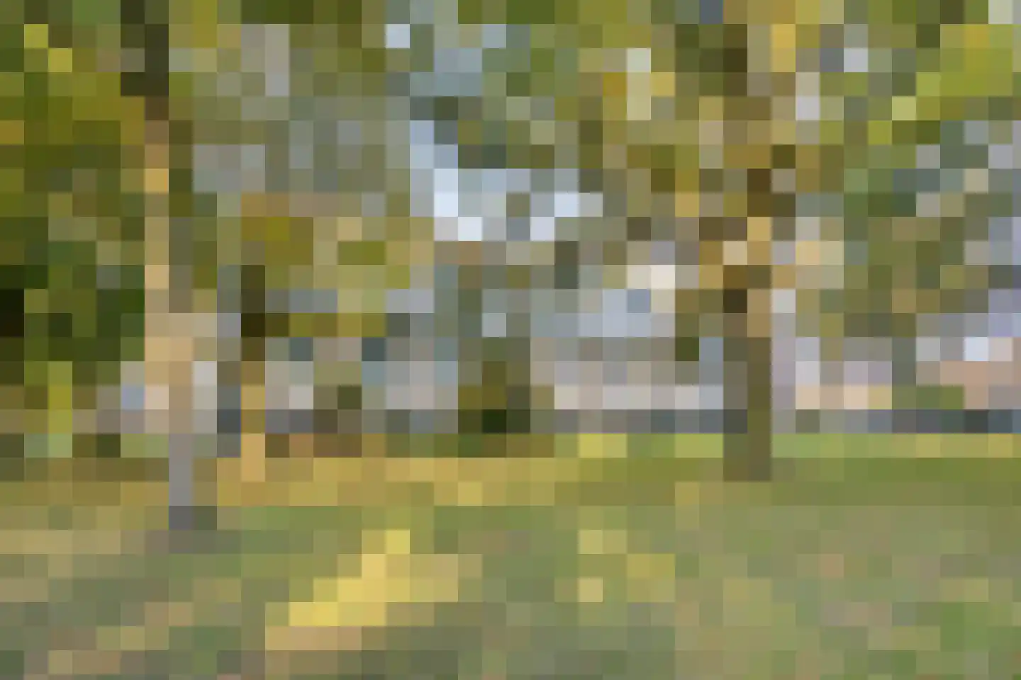 Roelof van Schevenstraat 5 Enschede thumbnail 30
