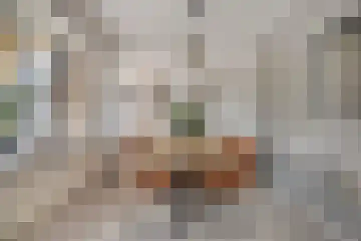 Roelof van Schevenstraat 76 Enschede thumbnail 15