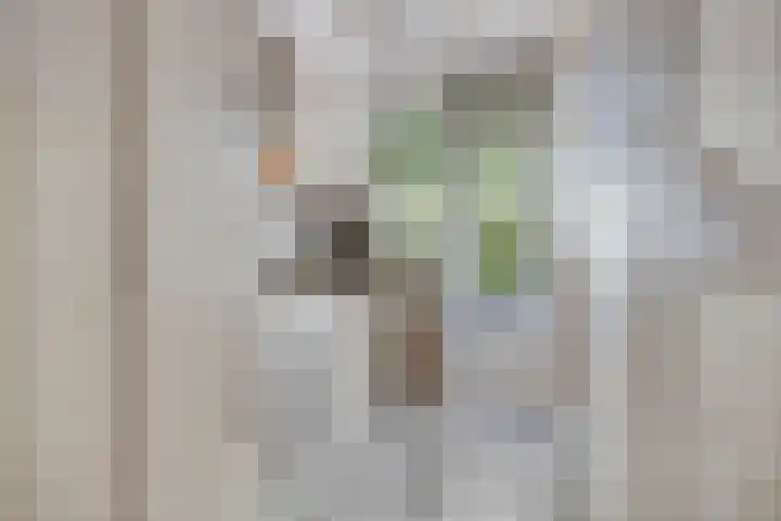 Roelof van Schevenstraat 76 Enschede thumbnail 17