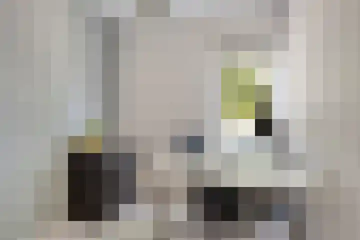 Roelof van Schevenstraat 76 Enschede thumbnail 29
