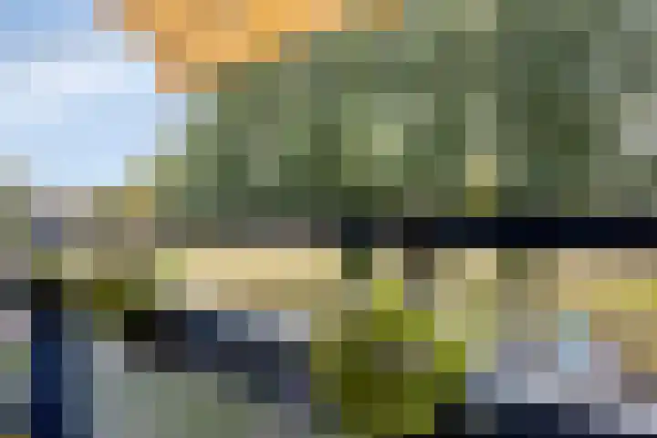 Roelof van Schevenstraat 76 Enschede thumbnail 31