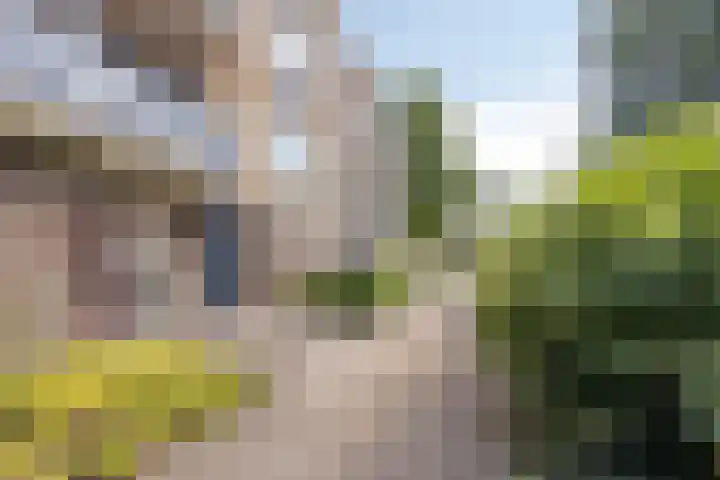 Roelof van Schevenstraat 76 Enschede thumbnail 34