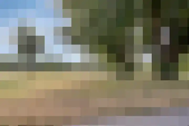 Roelof van Schevenstraat 76 Enschede thumbnail 35