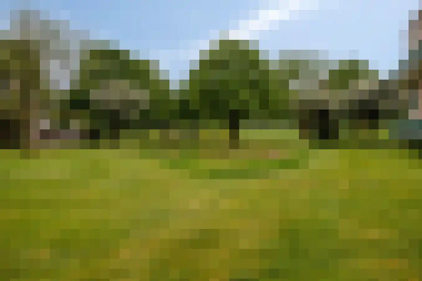 Roelof van Schevenstraat 8 Enschede thumbnail 26