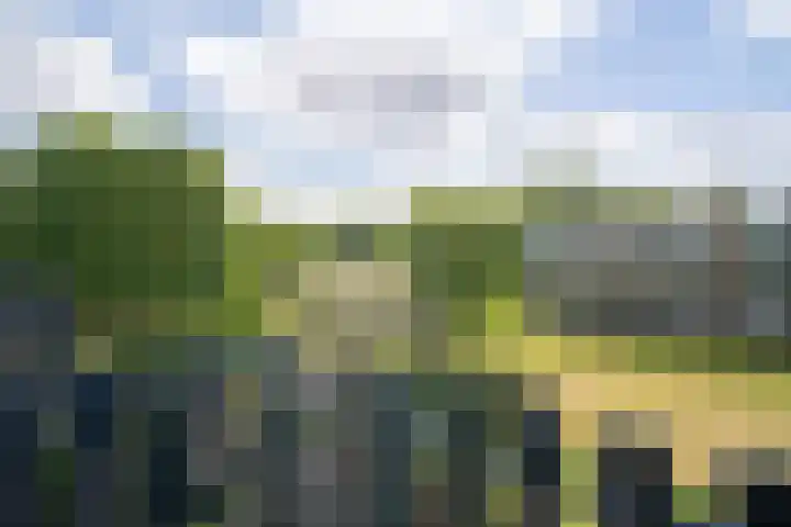 Roelof van Schevenstraat 89 Enschede thumbnail 4