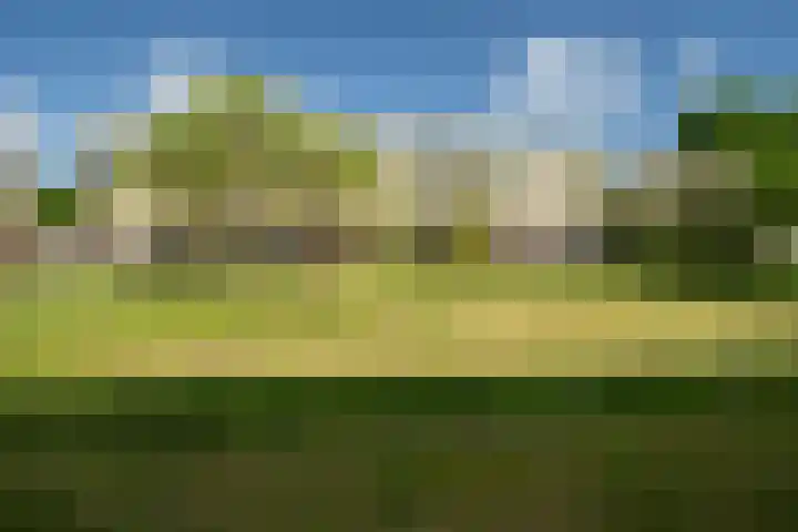 Roelof van Schevenstraat 91 Enschede thumbnail 27