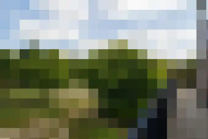 Roelof van Schevenstraat 91 Enschede thumbnail 7