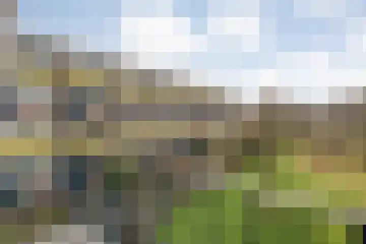 Roelof van Schevenstraat 99 Enschede thumbnail 31