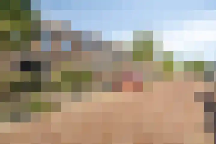 Roeloff van Dalemstraat 11 Dongen thumbnail 11