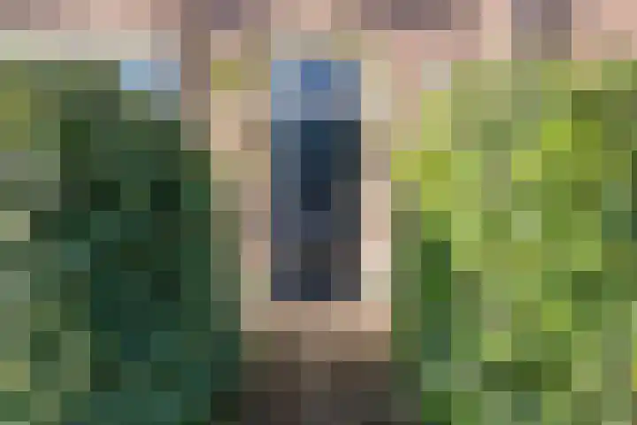 Roeloff van Dalemstraat 11 Dongen thumbnail 13