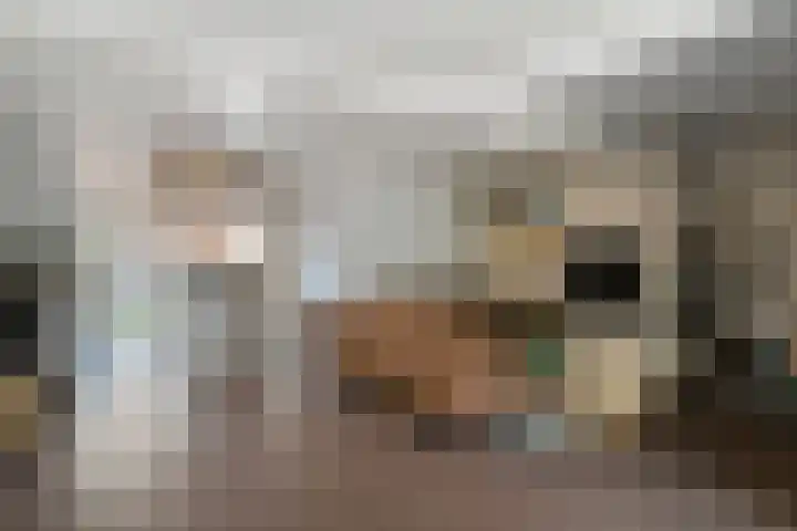 Roeloff van Dalemstraat 11 Dongen thumbnail 14