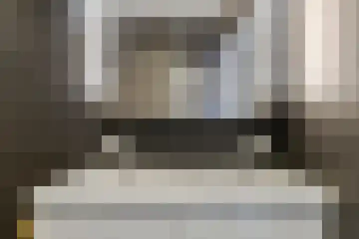 Roeloff van Dalemstraat 11 Dongen thumbnail 23