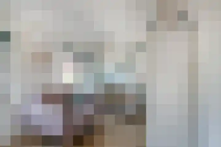 Roeloff van Dalemstraat 11 Dongen thumbnail 25