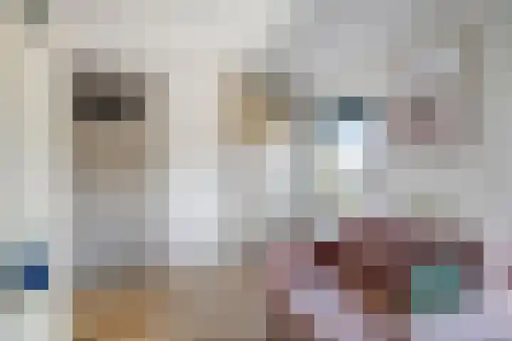 Roeloff van Dalemstraat 11 Dongen thumbnail 27