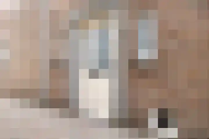 Roeloff van Dalemstraat 37 Dongen thumbnail 11