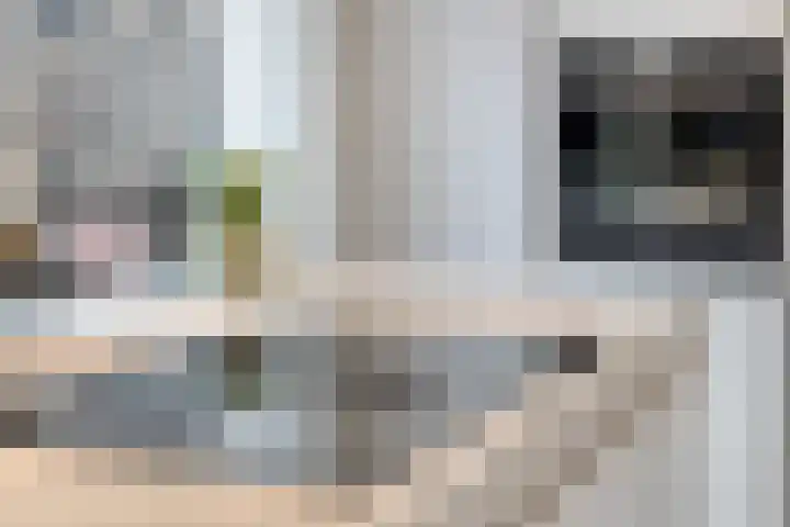 Roeloff van Dalemstraat 37 Dongen thumbnail 28