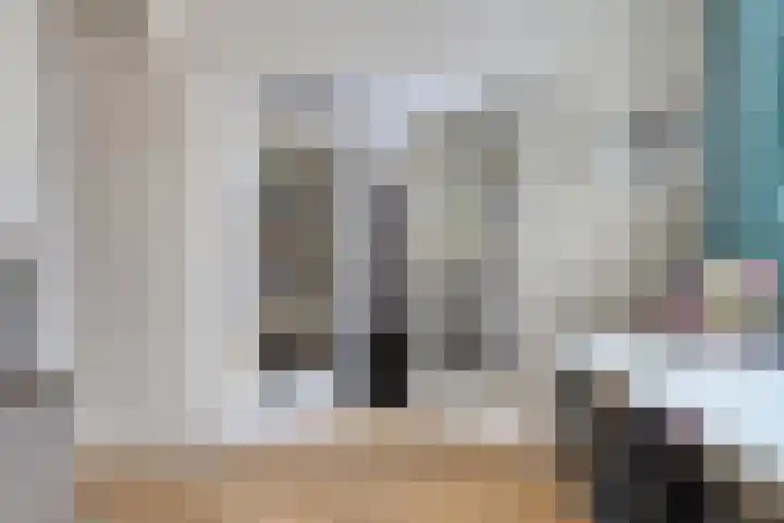 Roeloff van Dalemstraat 37 Dongen thumbnail 30