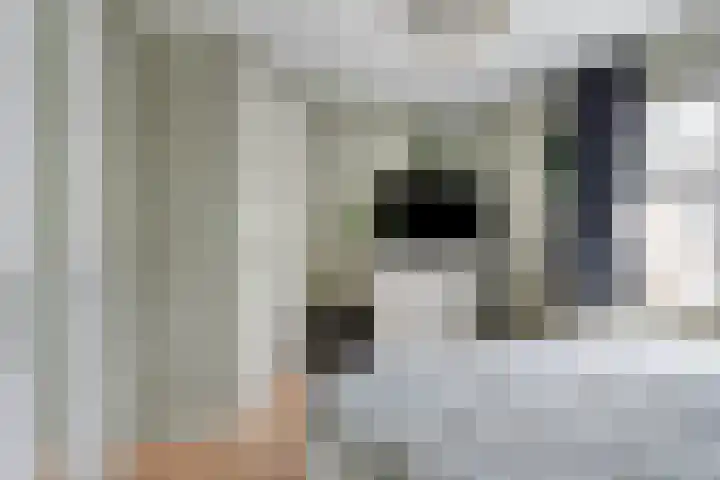Roeloff van Dalemstraat 37 Dongen thumbnail 33