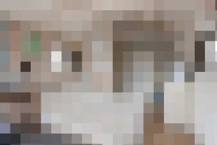 Roeloff van Dalemstraat 37 Dongen thumbnail 38