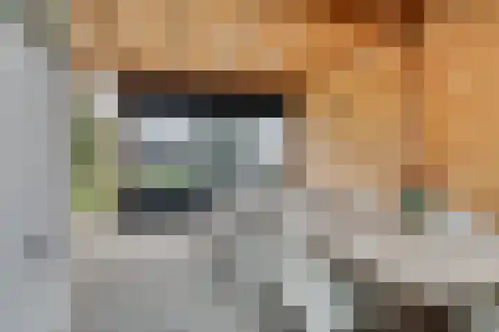 Roeloff van Dalemstraat 37 Dongen thumbnail 42