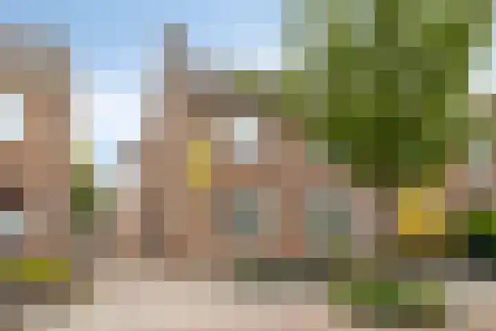 Roeloff van Dalemstraat 37 Dongen thumbnail 58