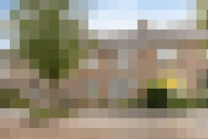 Roeloff van Dalemstraat 37 Dongen thumbnail 9