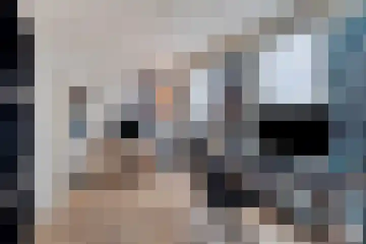 Roelofsbeldstraat 48 Deventer thumbnail 31