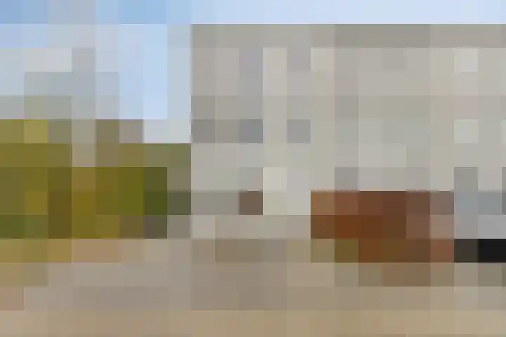 Roelofsbeldstraat 48 Deventer thumbnail 5
