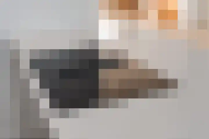 Roelofsbeldstraat 6 Deventer thumbnail 26