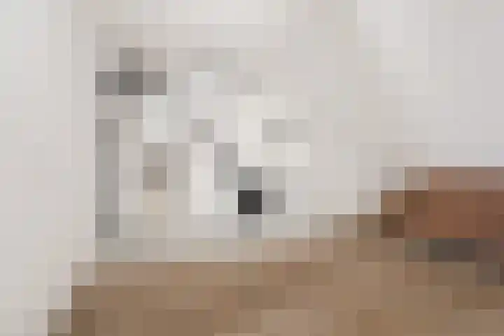 Roelofsbeldstraat 6 Deventer thumbnail 32