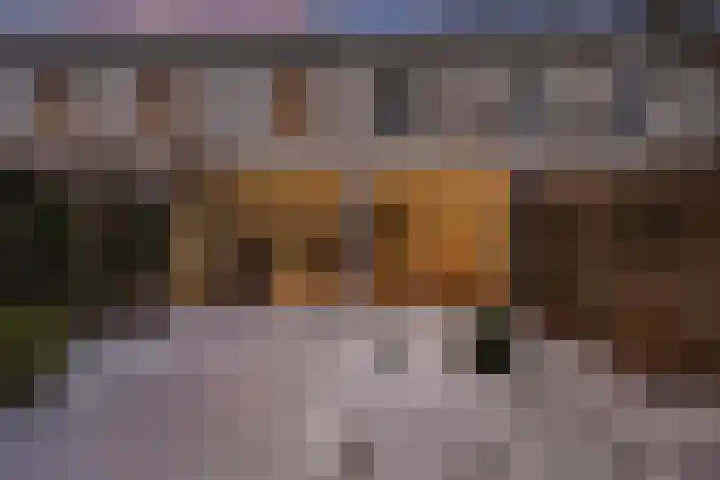 Roelofsbeldstraat 6 Deventer thumbnail 4