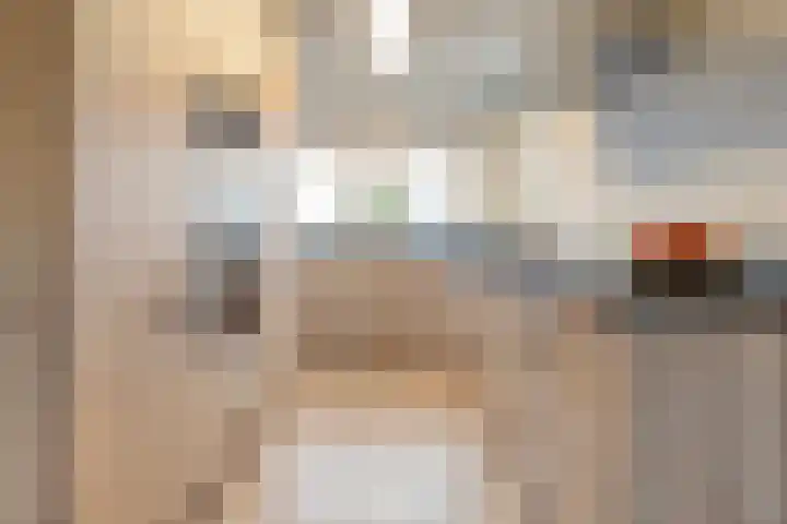 Roelofsbrink 24 Den Ham thumbnail 18