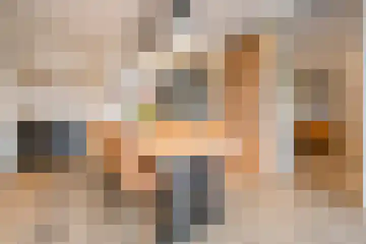 Roelofsbrink 24 Den Ham thumbnail 21