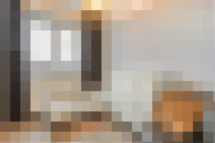 Roelofsbrink 24 Den Ham thumbnail 31